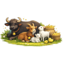 Animals